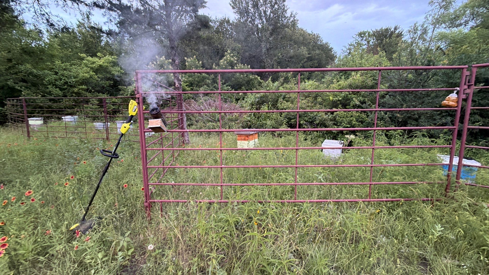 Rockwall County Ag. Exemption by Rockwall Honey Bee Company