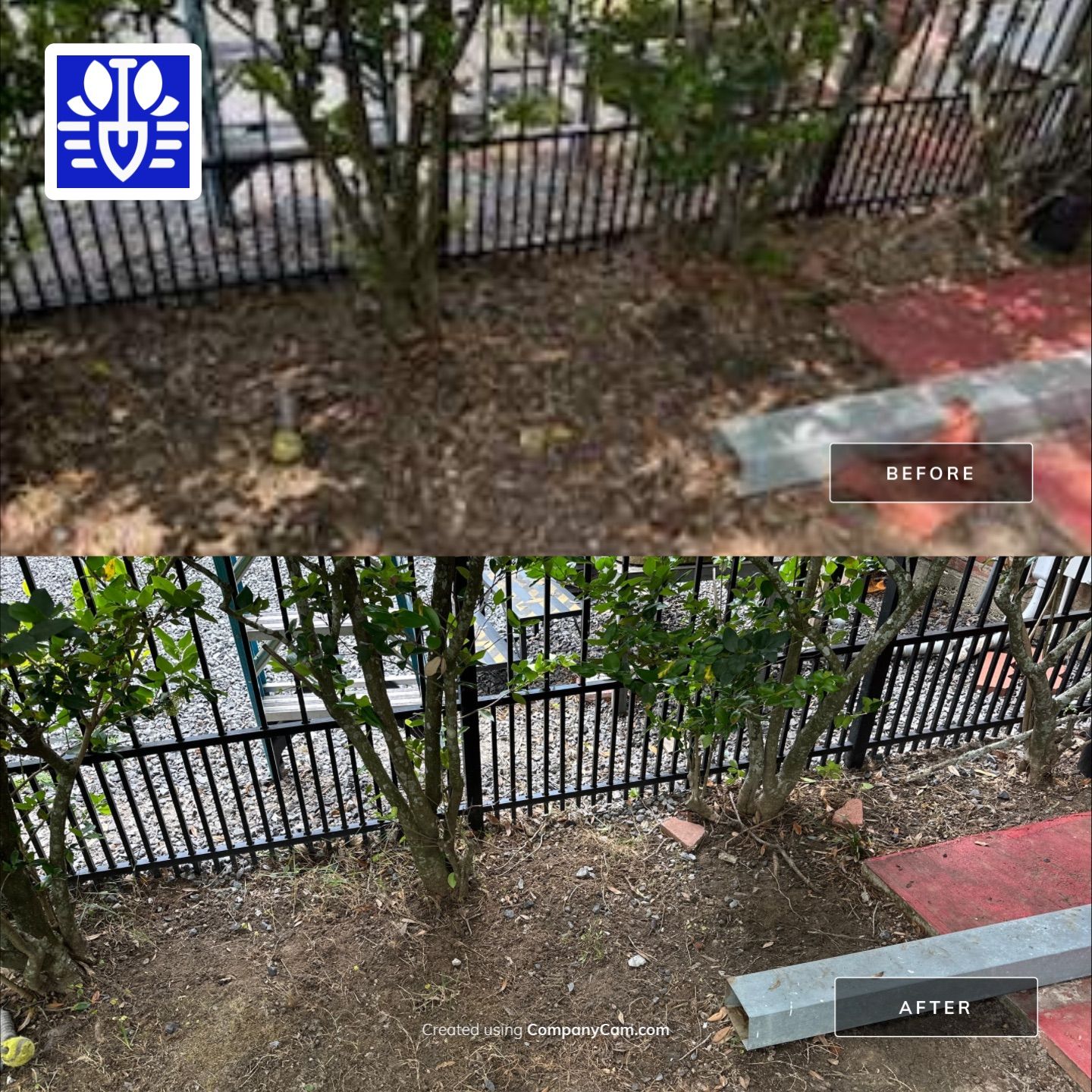 WINTER SERVICES: FULL LEAF JOB using  Leaf Removal by CutScape, LLC.