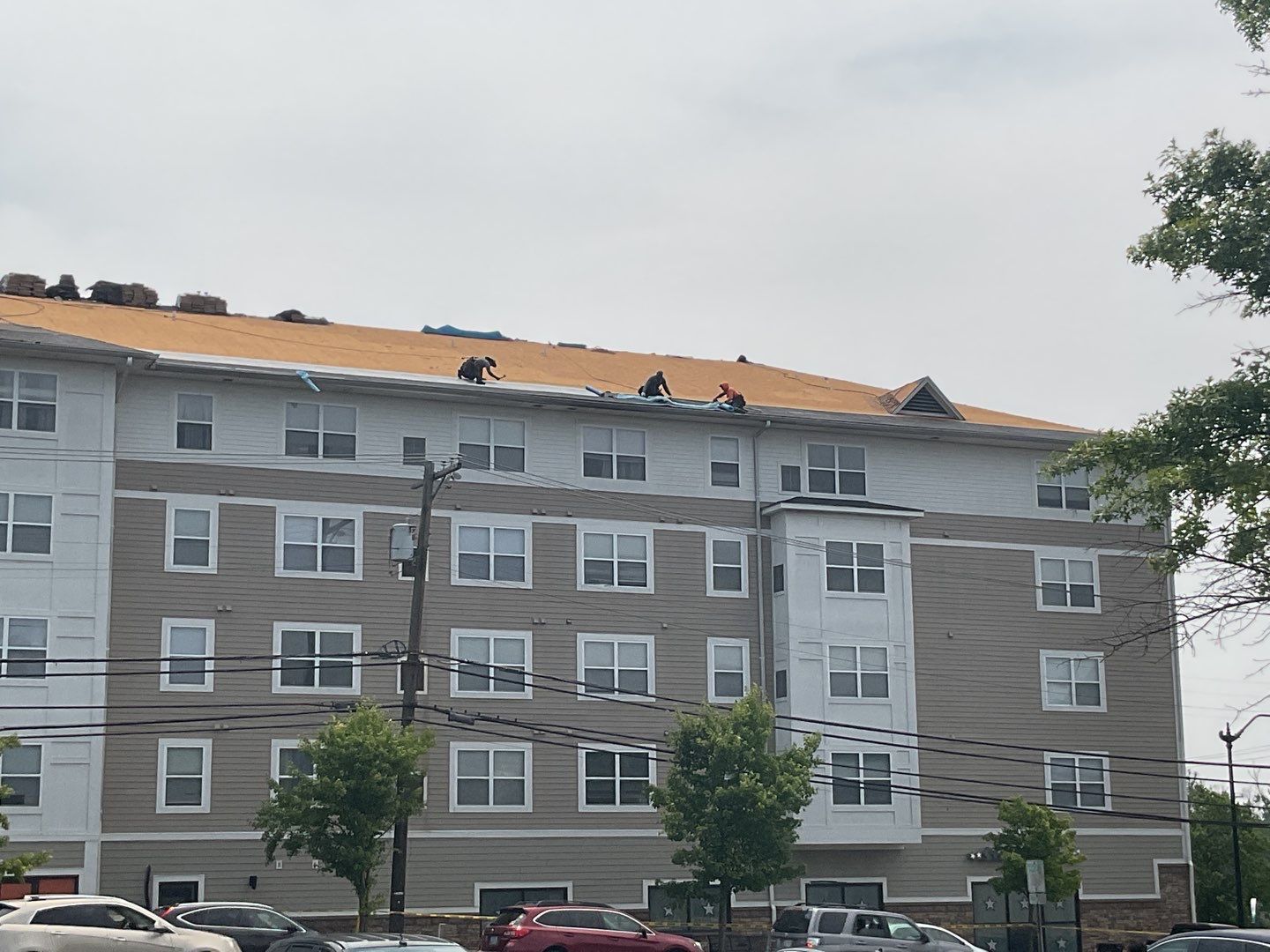 Multi-Family Commercial shingle roof by Alpha Design Services