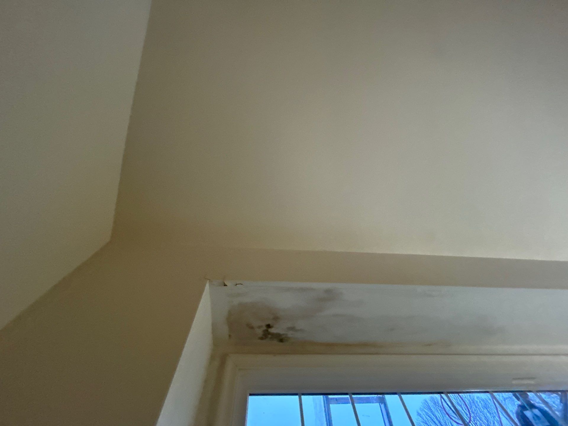 Reston :  Residential Roof Replacement with Brava Synthetic Cedar Shake Class C Natural  by RM Banning, Inc.