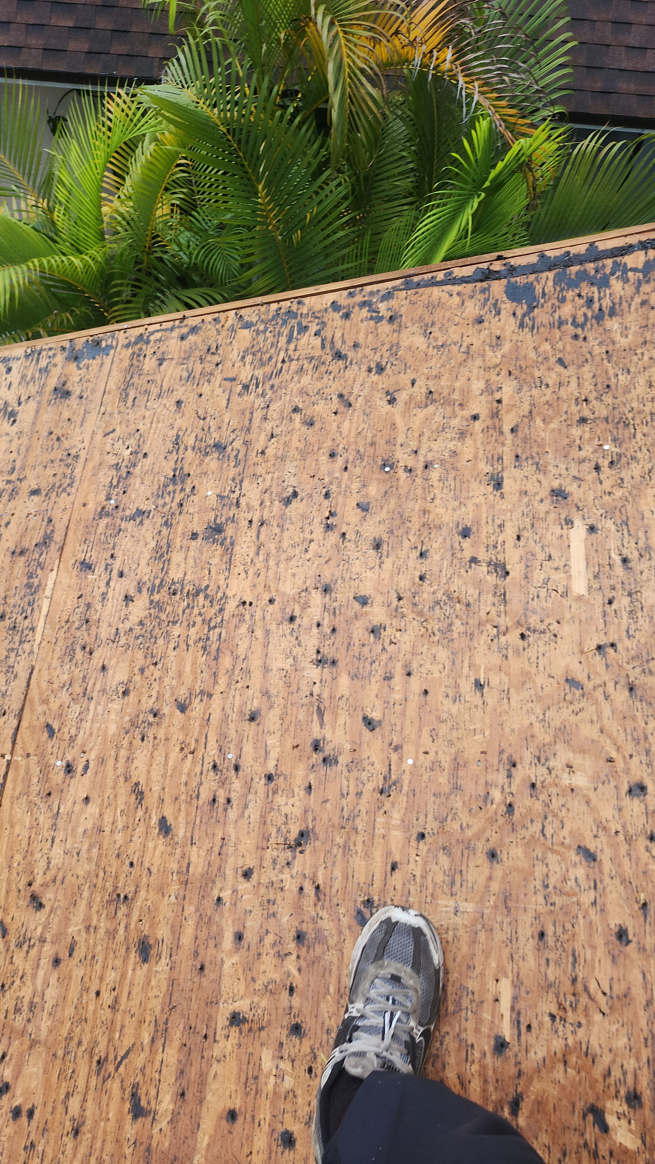 Asphalt Shingle Roof Replacement and Underlayment Installation in Boca Raton by Aastro Roofing