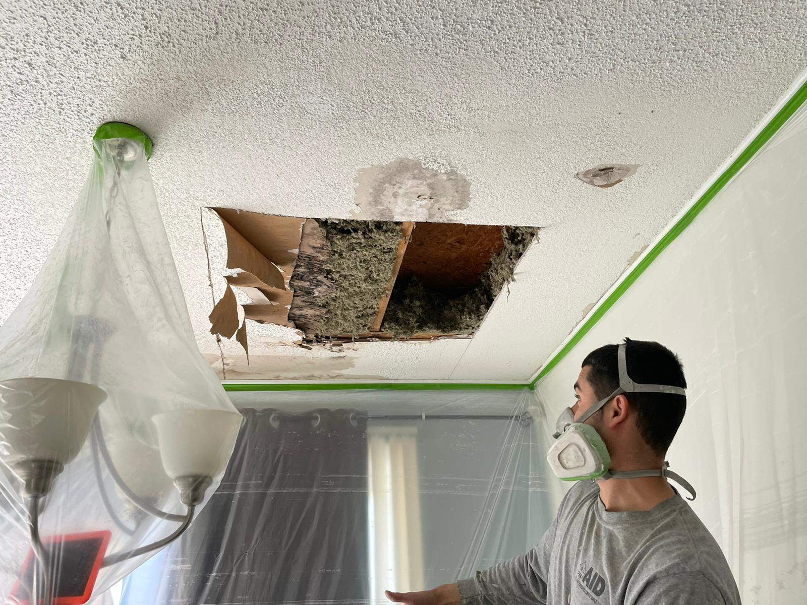 Roof replacement and interior repair by hail and wind damage by Just Brilliant Restoration JBR