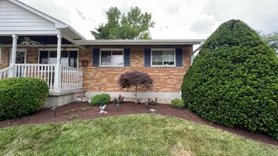 Clean Up, Edge, Pune & Mulch w/ Install