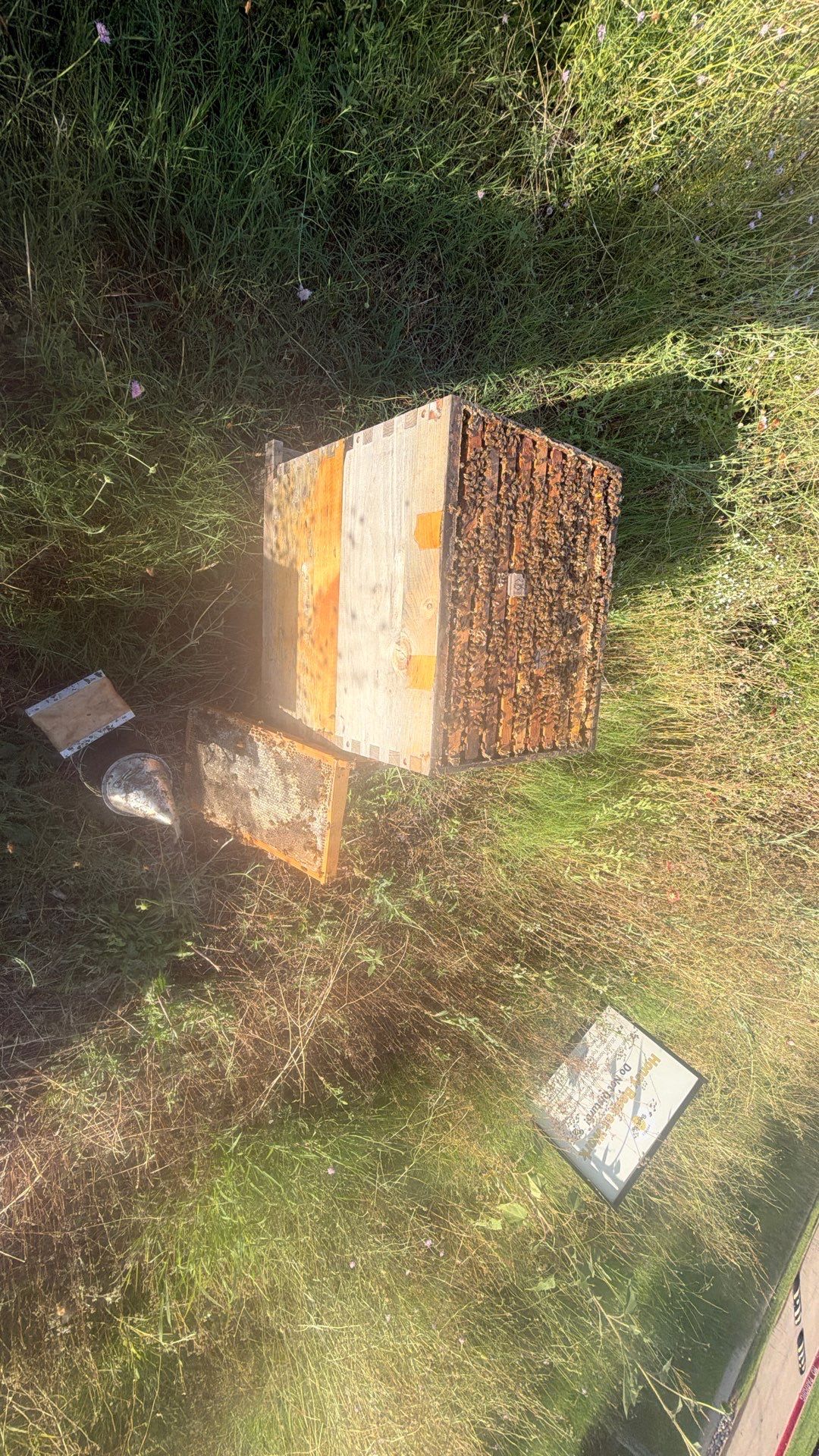 Bees at the Bank! by Rockwall Honey Bee Company