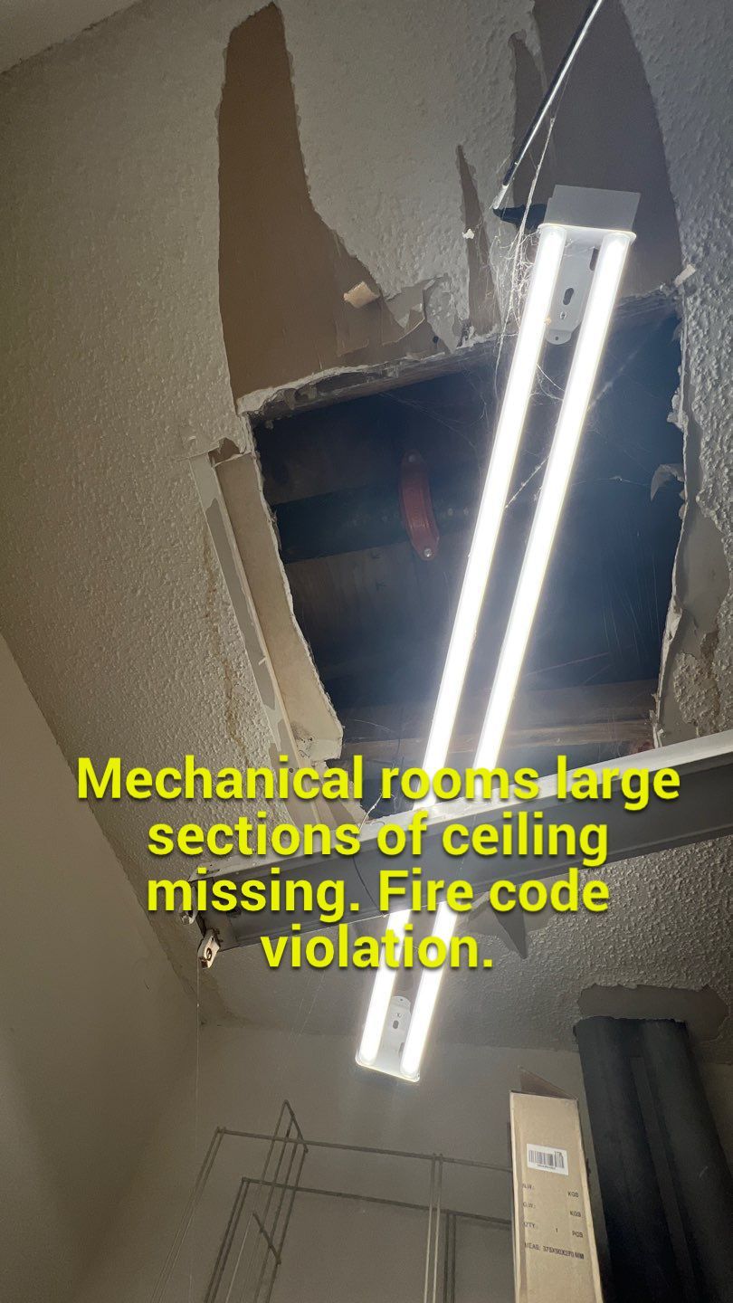 The Gardens of Rome by PC&D