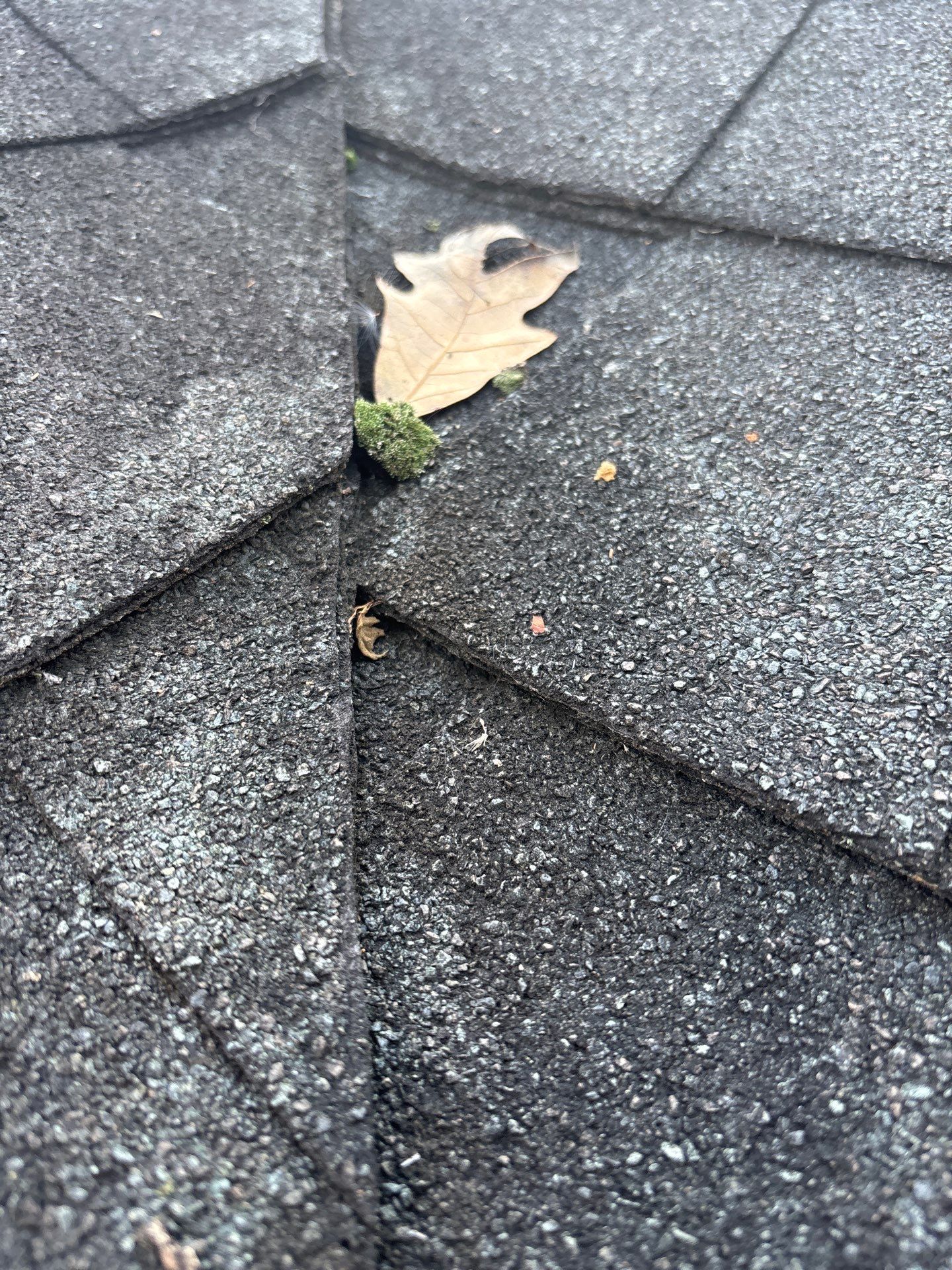 Project in Palmyra by Roof Maxx of Midlothian