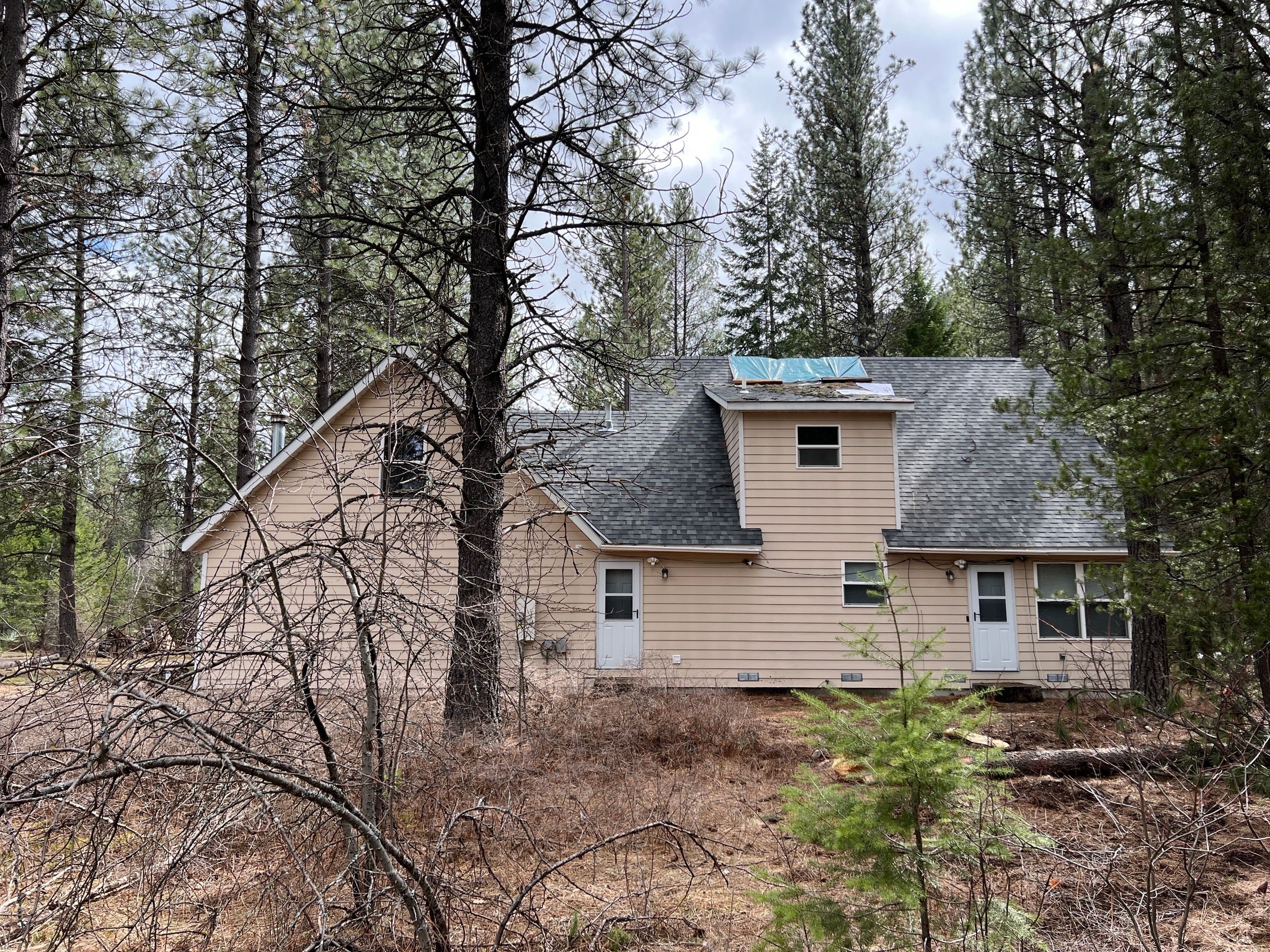 Green Snap Lock Standing Seam  by Montana Roofing Solutions