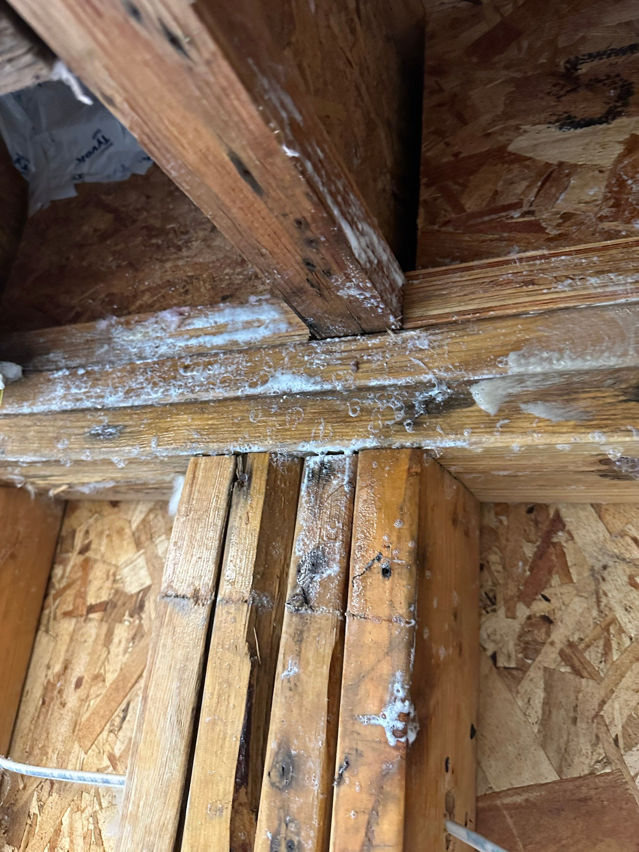 Water Damage in Denver, CO by Alpha Restoration 