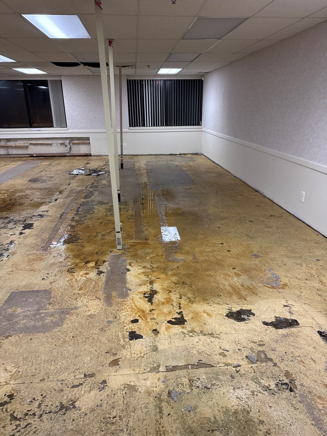 Project in Warren by EzDry Water Mitigation & Property Restoration