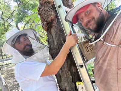 Two More Trees, One More Yard