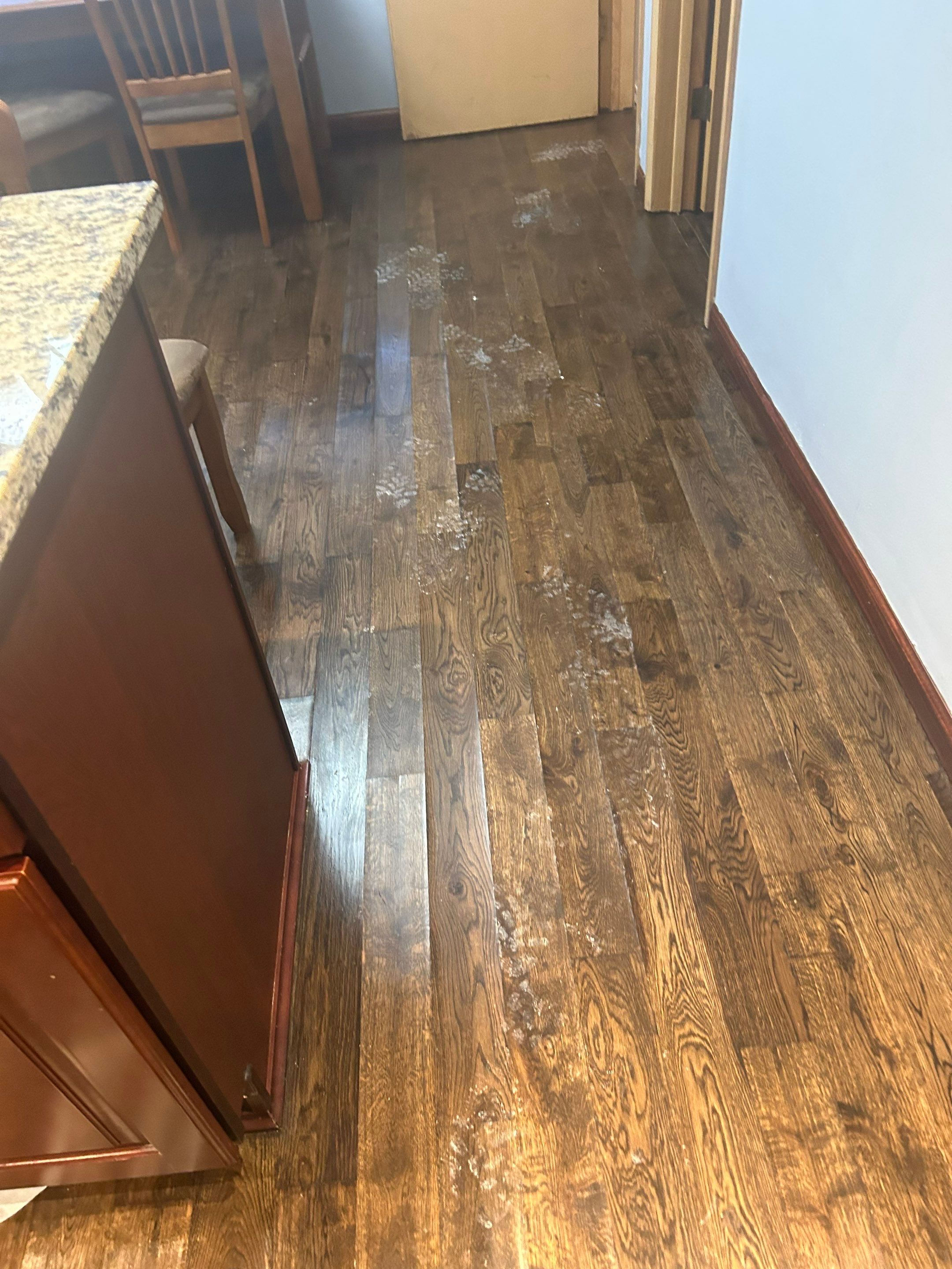 maria aguilera by Unlimited Fire Restoration