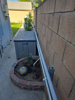 Project in Los Angeles