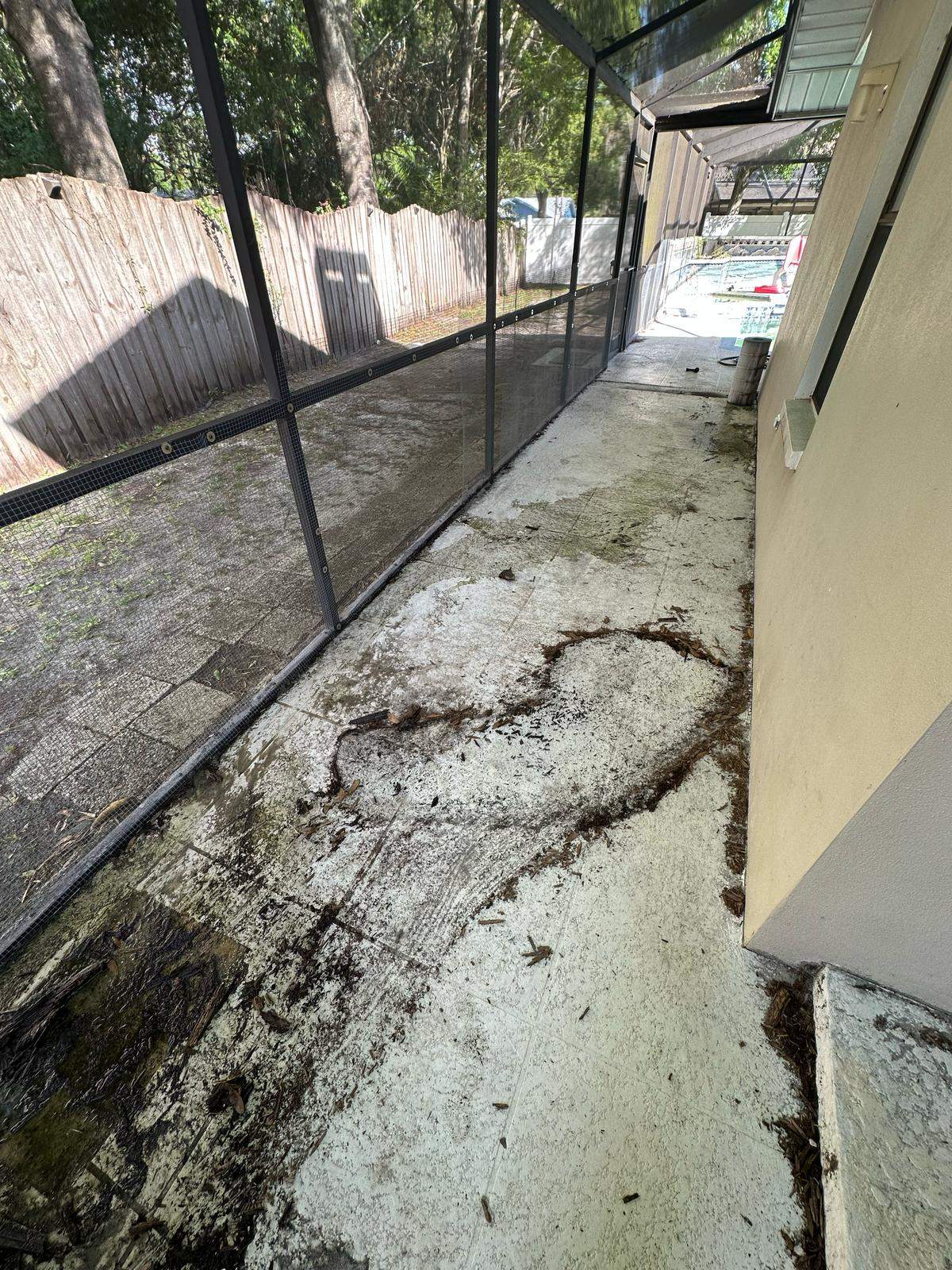 Pressure Washing Pool Cage & Deck by DPI Pressure Washing LLC