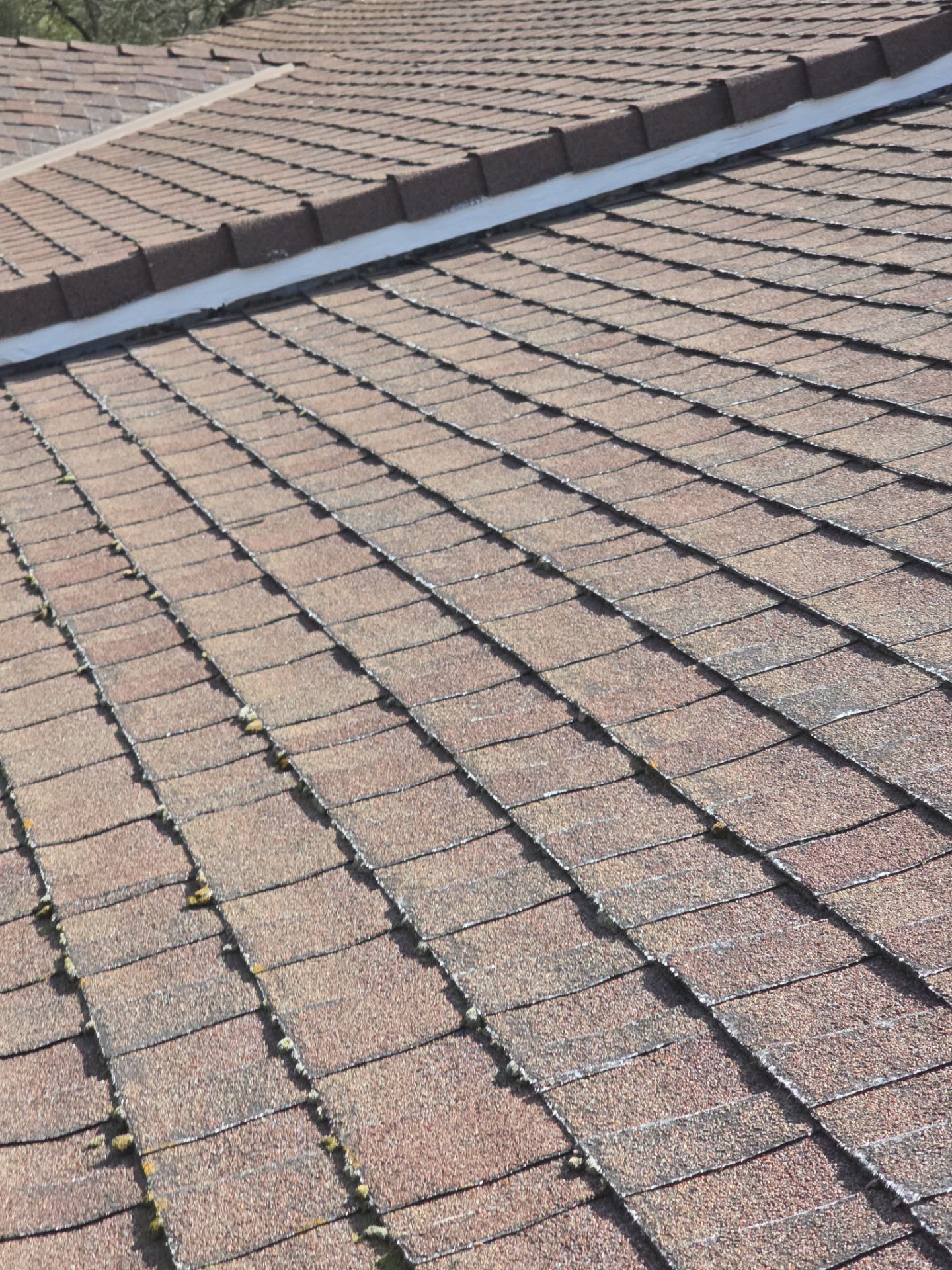 Roof Rejuvenation using Roof Maxx Treatment by Roof Maxx of Folsom