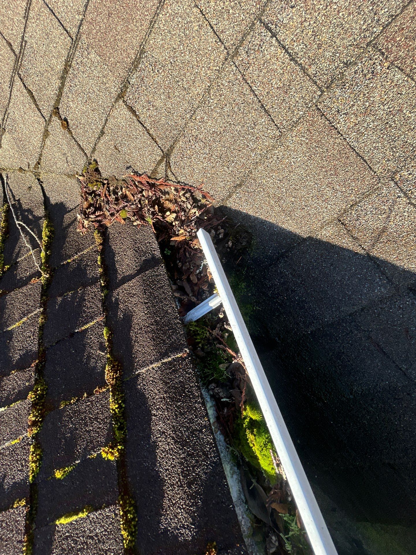 Project in Mount Vernon by Connolly Construction Company