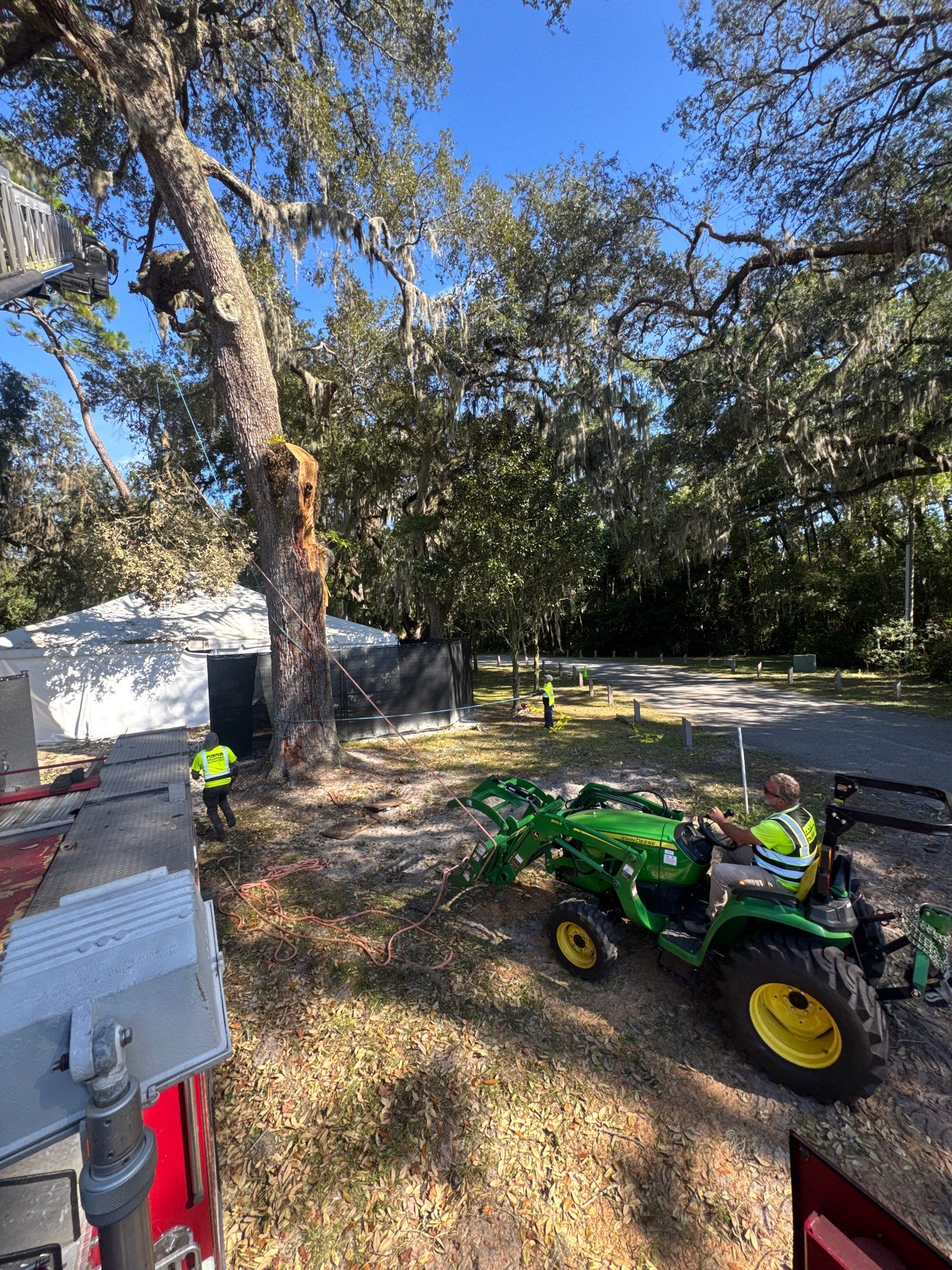 Episcopal | Large Tree Removal by ProGreen Services