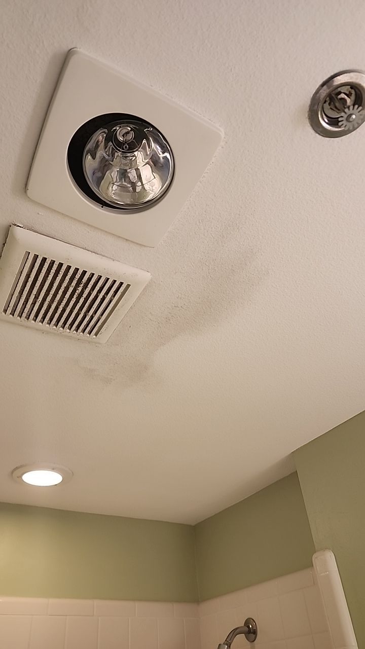 Humidity Bloom that caused mold to Grow by Building performance Solutions LLC