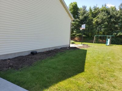 Tree Removal using Tree Removal