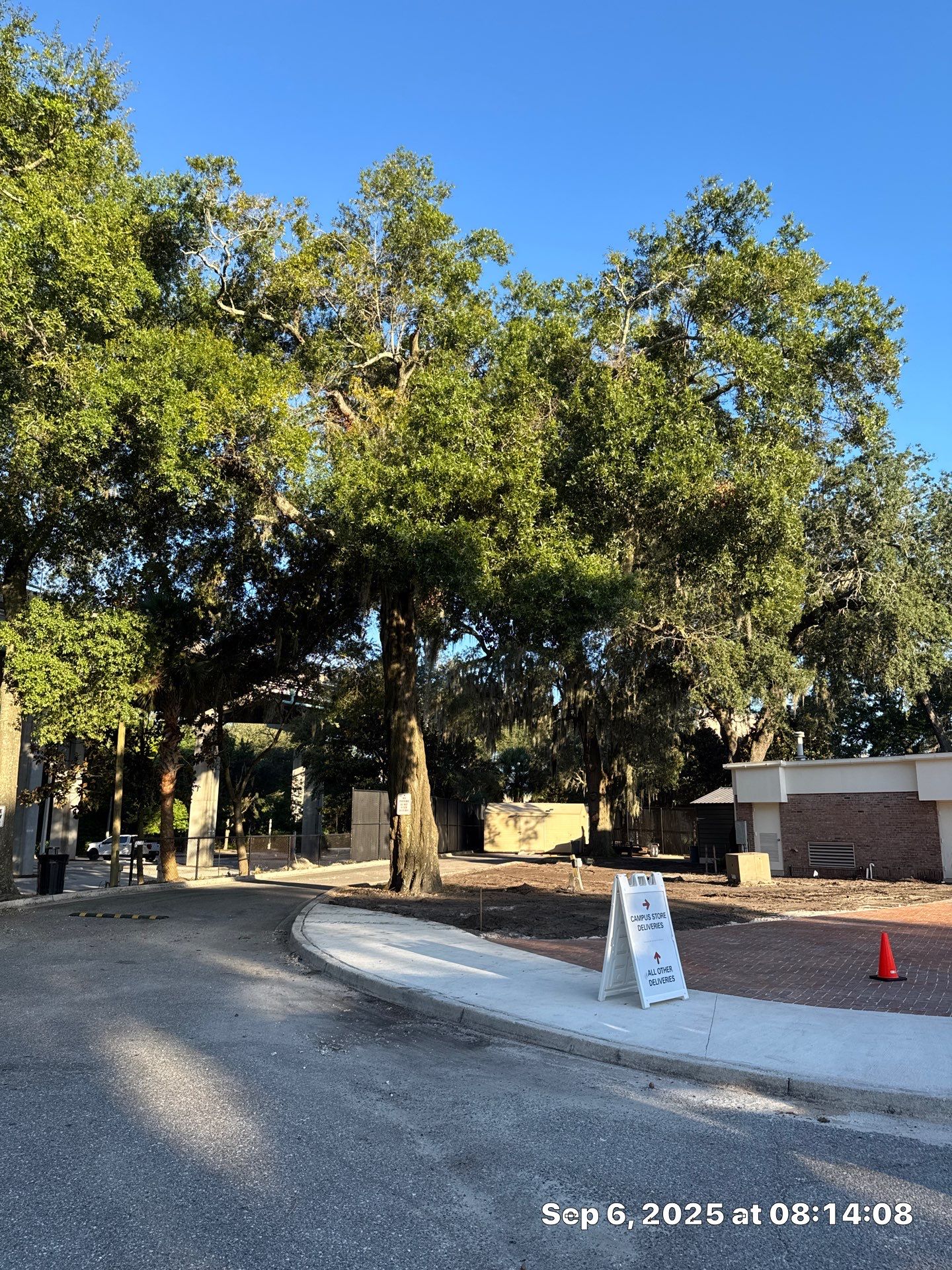 Welcome Center Tree Removal | Episcopal School of Jacksonville by ProGreen Services