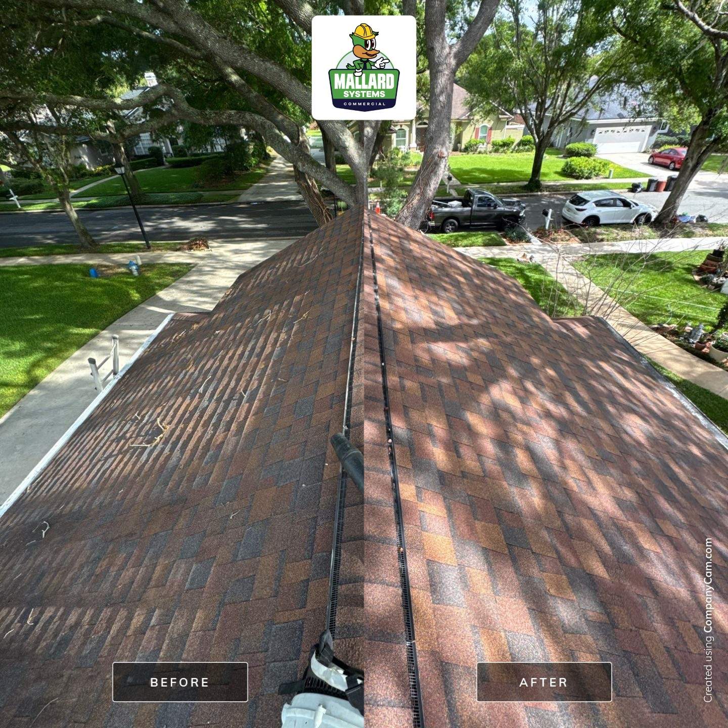 Shingle Roof Debris Removal and Cleaning by Mallard Systems