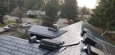 Ari in Bothell