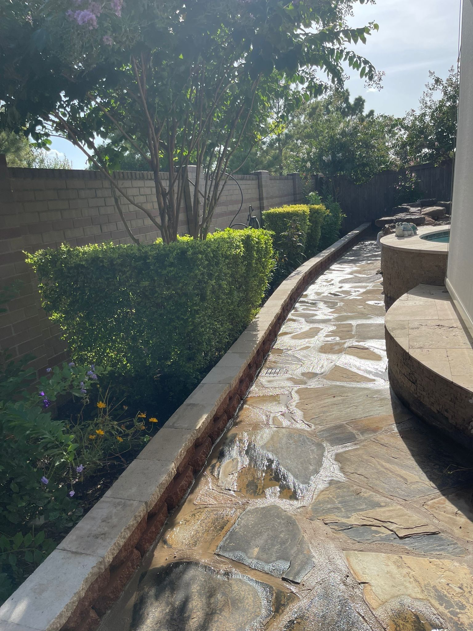 🌿 Pamela’s Backyard Makeover by Texas Urban Elements