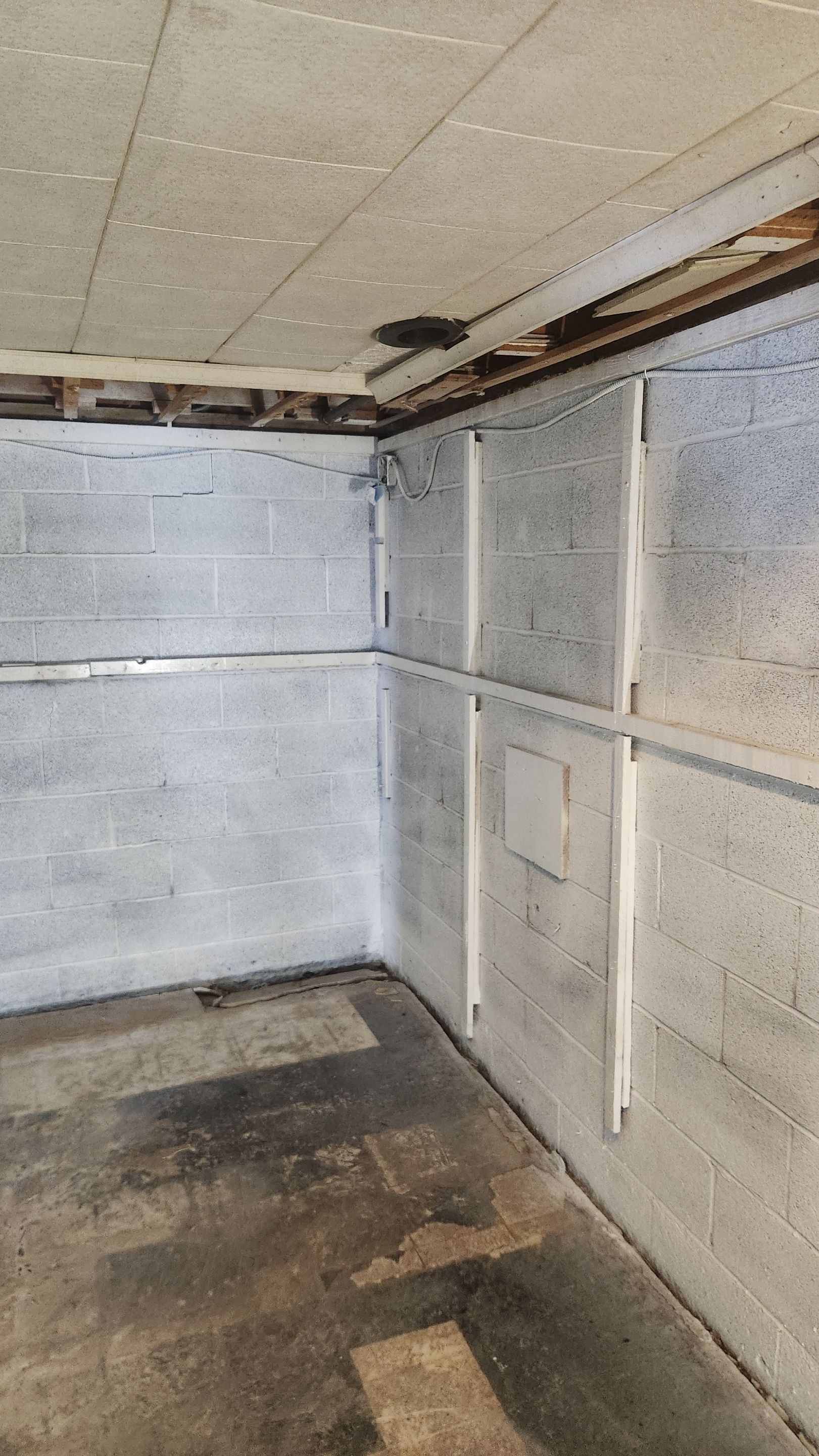 Interior French Drain & Mold Remediation Project in Manville, New Jersey by Pure Service Pro, LLC 