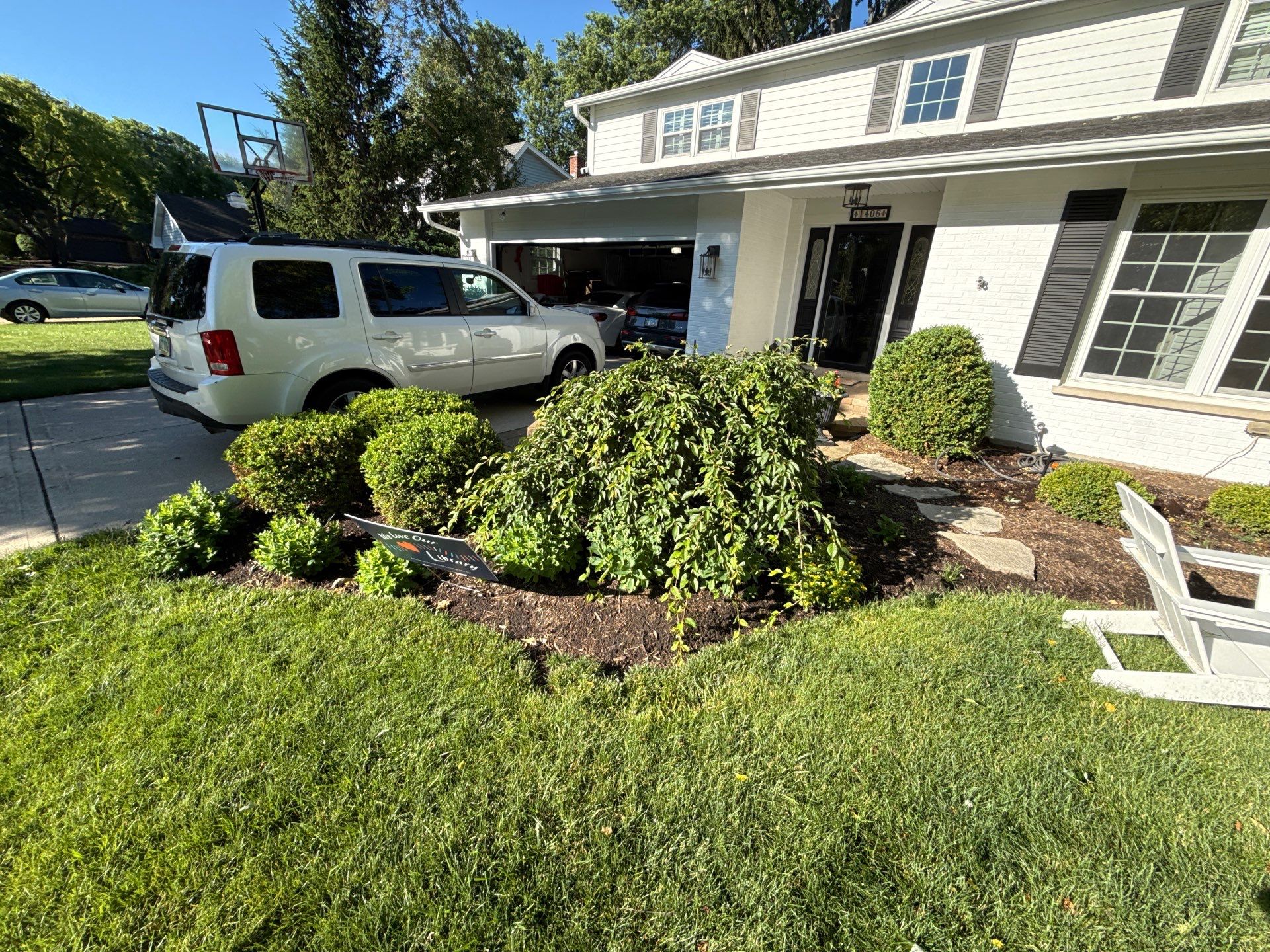Lesley D. - Arlington Heights, IL by A&N 