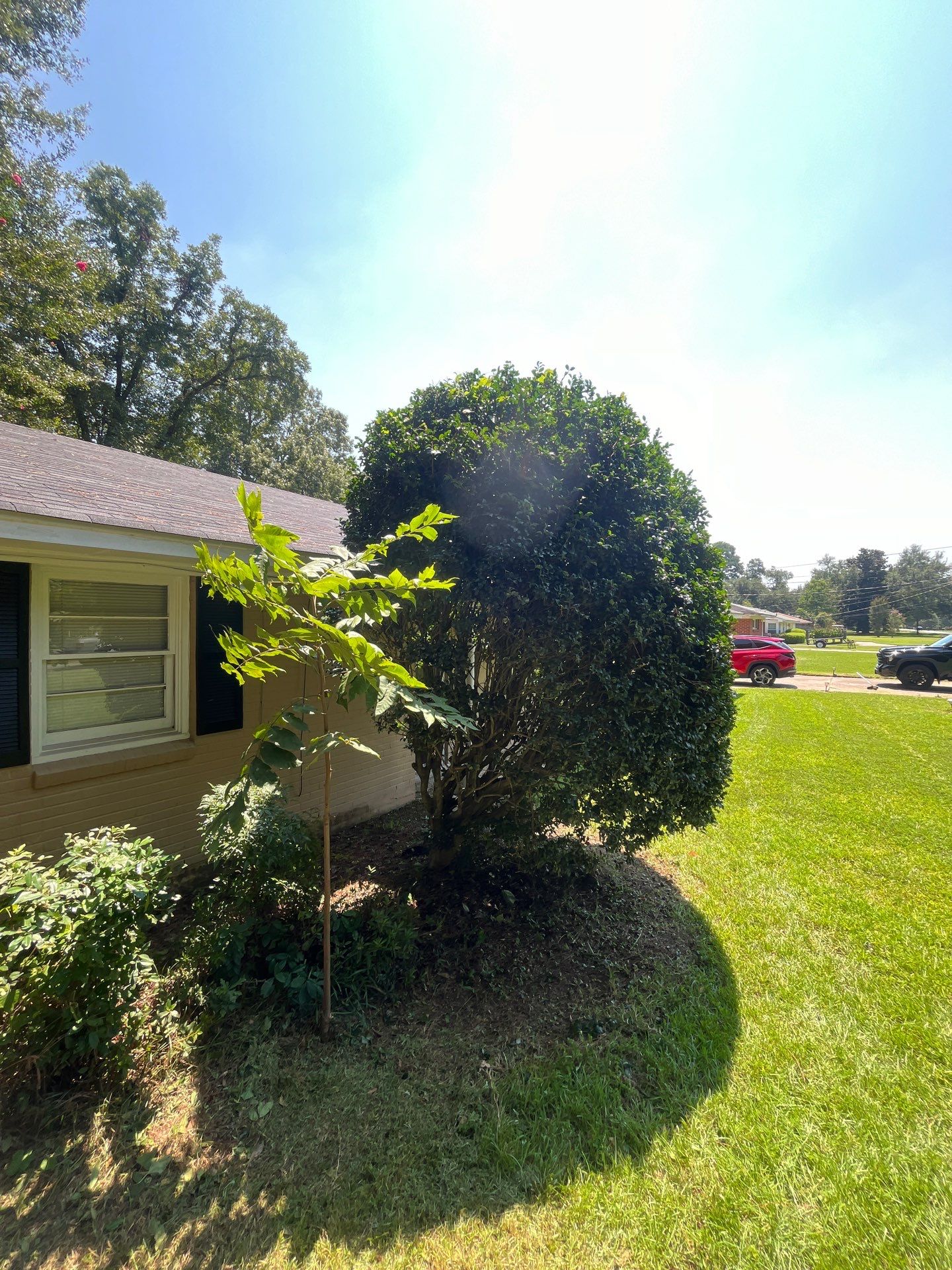 Yard Makeover by College Bros Outdoor services