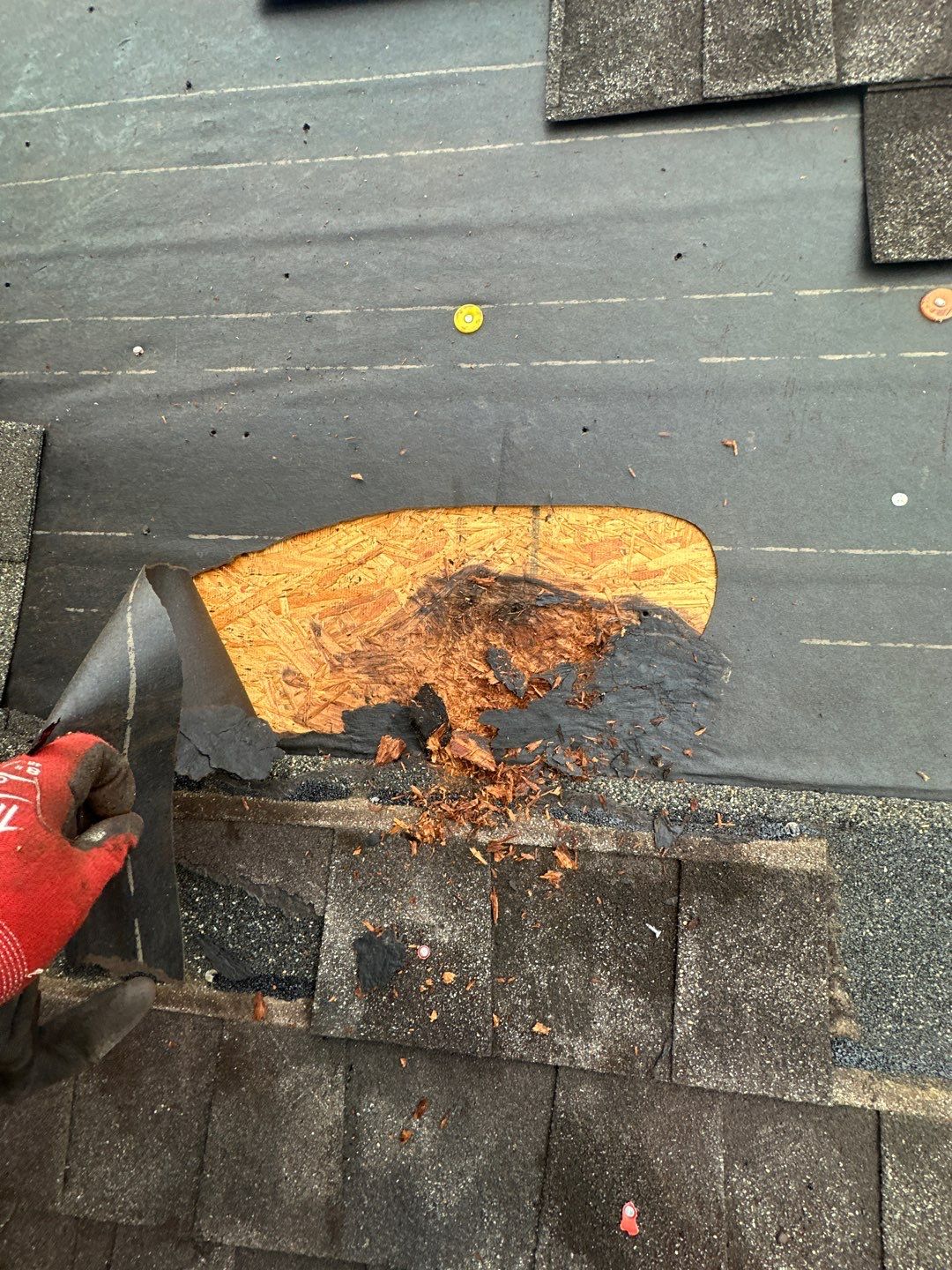 Roof Repair Katy by Roof Repair Services LLC