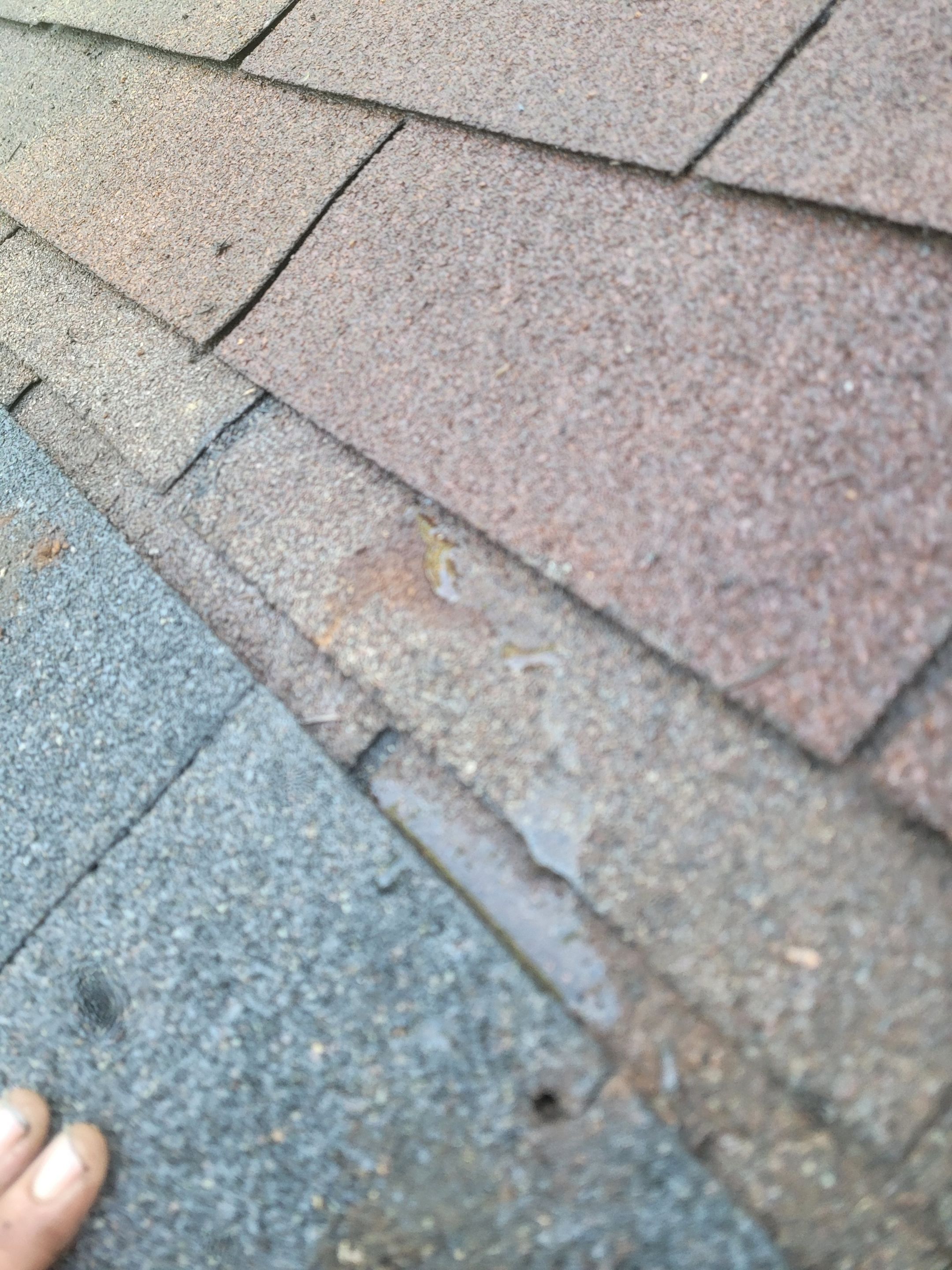 Linda Mertus by Silver Leaf Contracting 