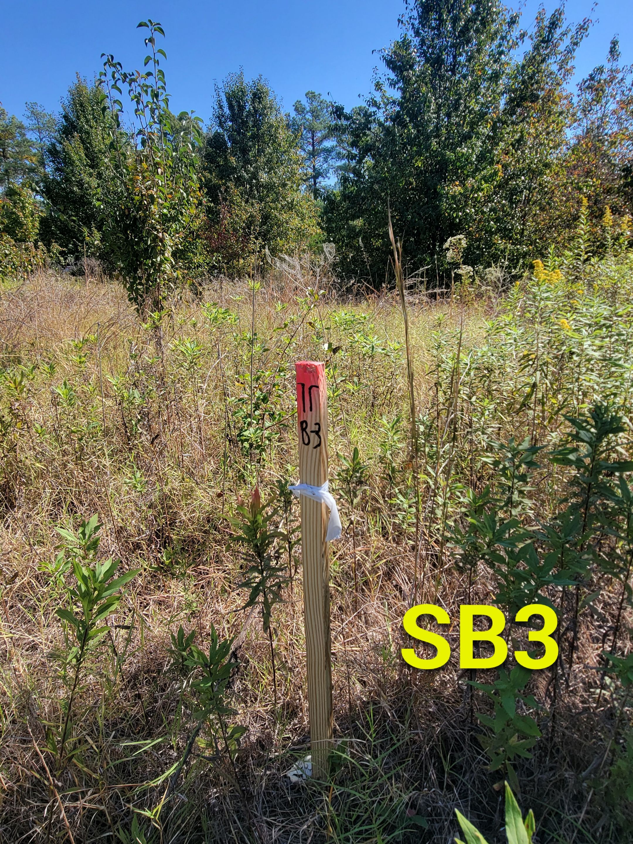 Soil Boring Locations by Alsip Locating Service, LLC