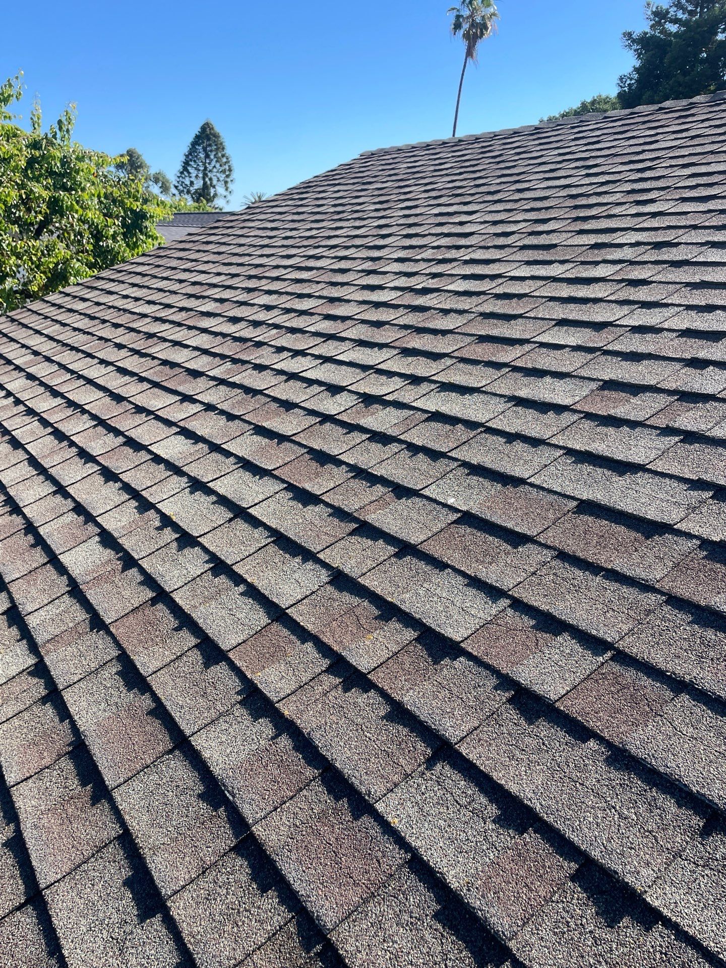 Roof Rejuvenation using Roof Maxx Treatment by Roof Maxx of Folsom
