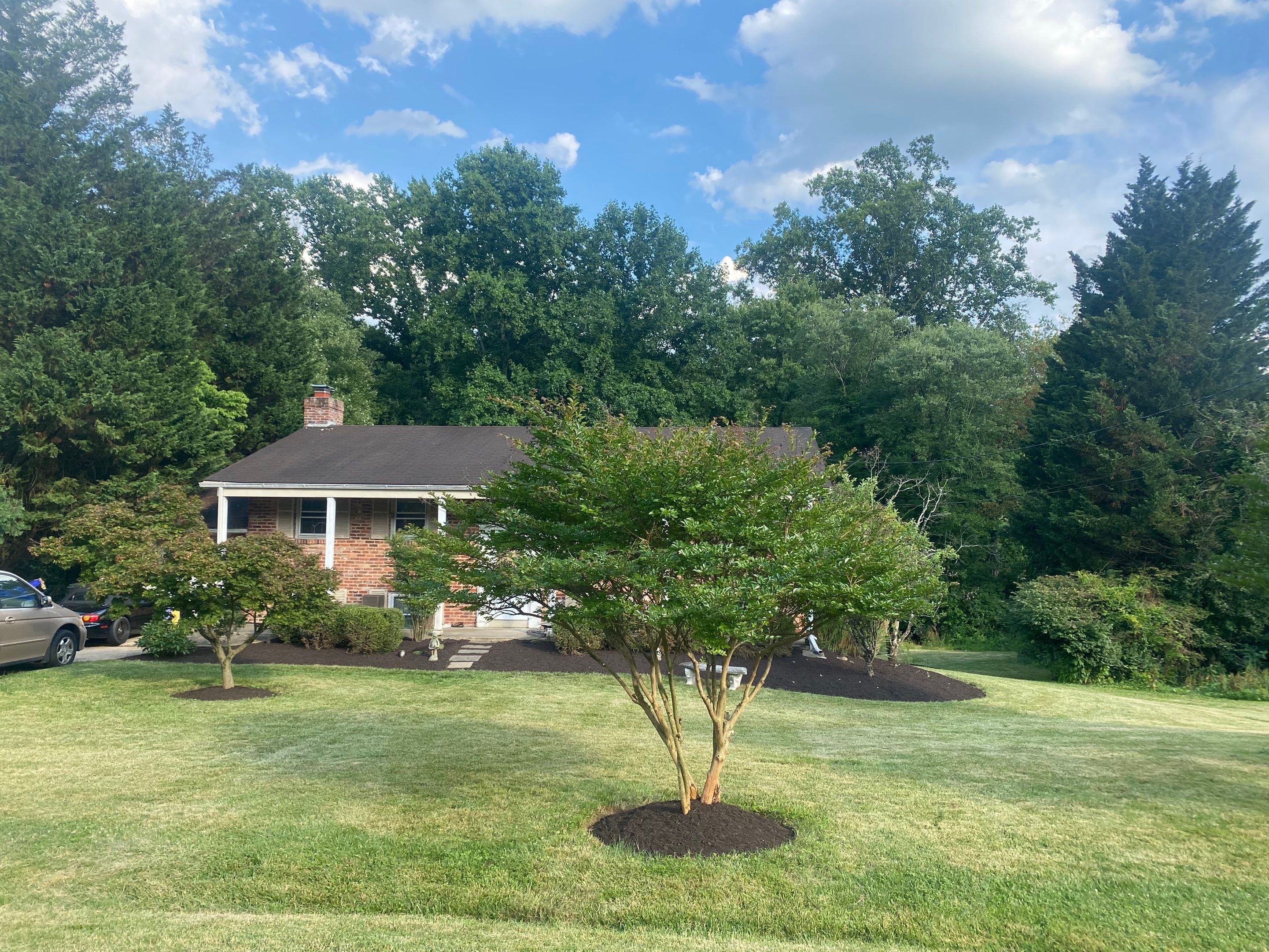 Landscape cleanup by The Smet Companies, LLC