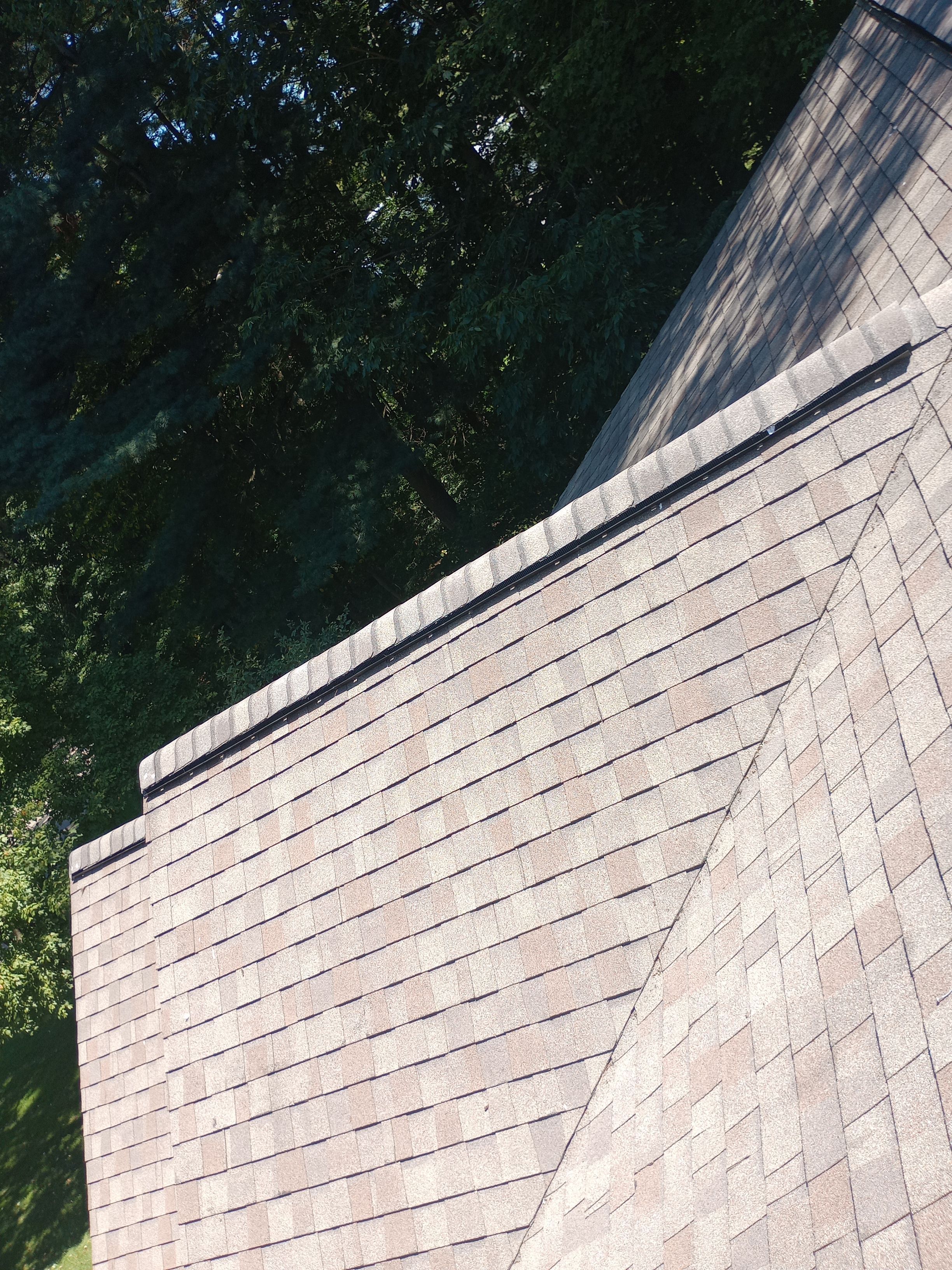 Linda Bertle by Silver Leaf Contracting 