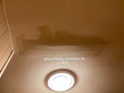Residential Roofing Repair using Mule-Hide 221 Wet/Dry Roof Cement