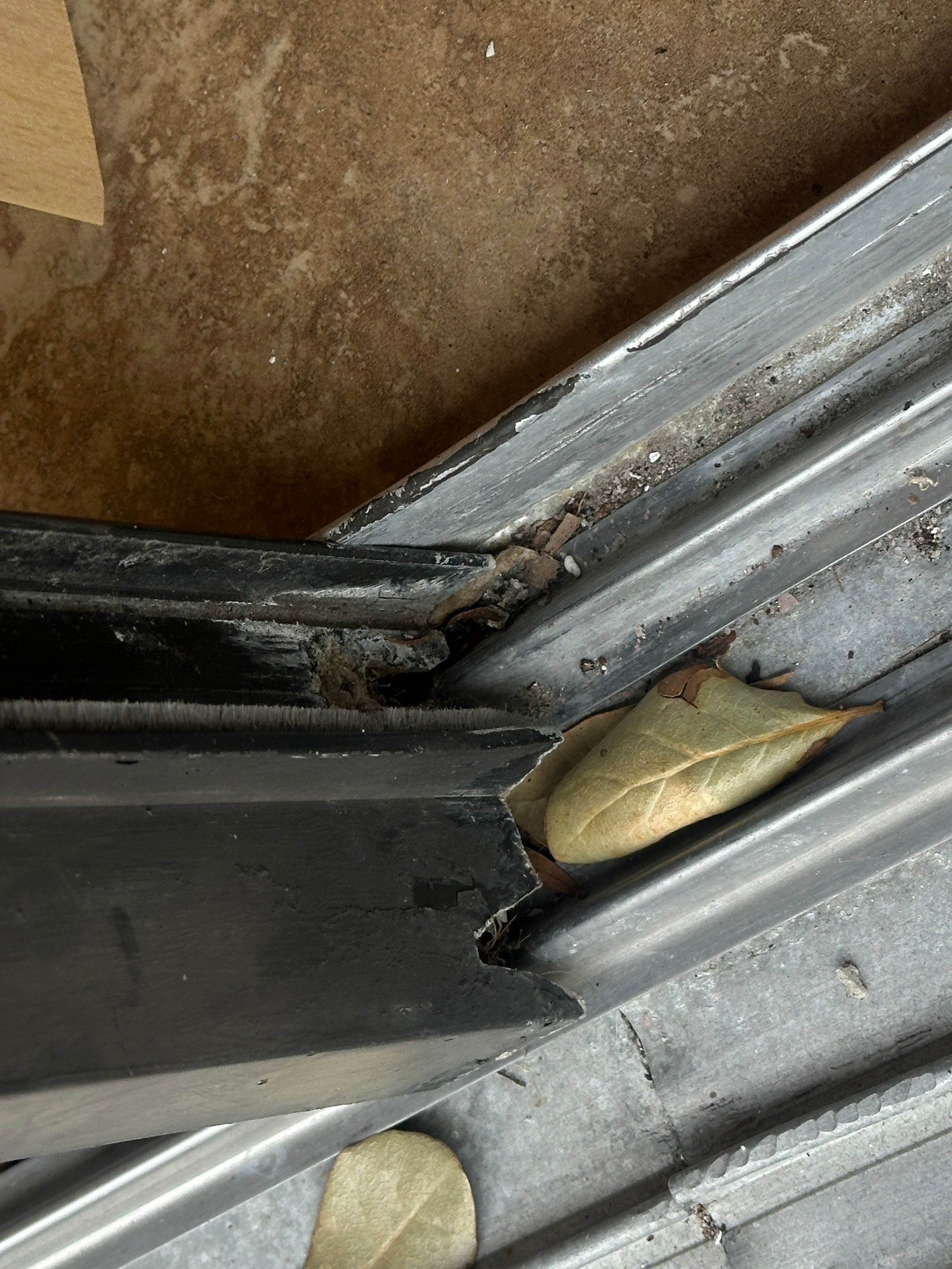 Water Damage Claim in Belleair by FLAPA & KeyStone
