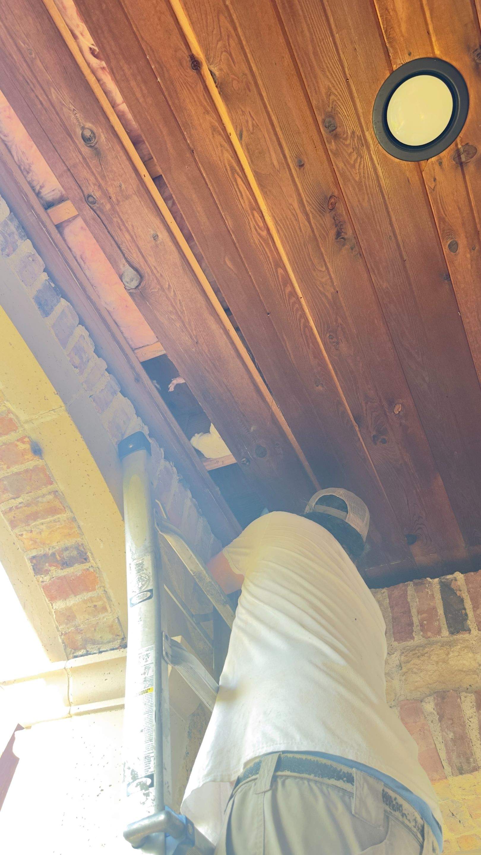 Quality Reset by Rockwall Honey Bee Company