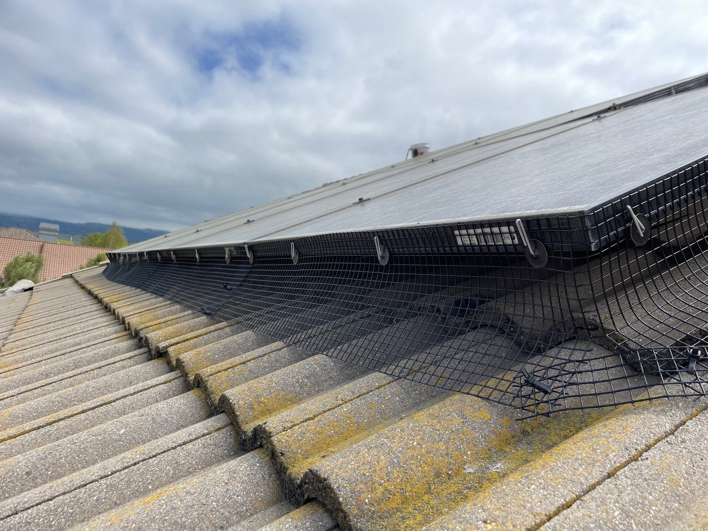 Solar Panel Bird Proofing-Morgan Hill by All One Solar Shine