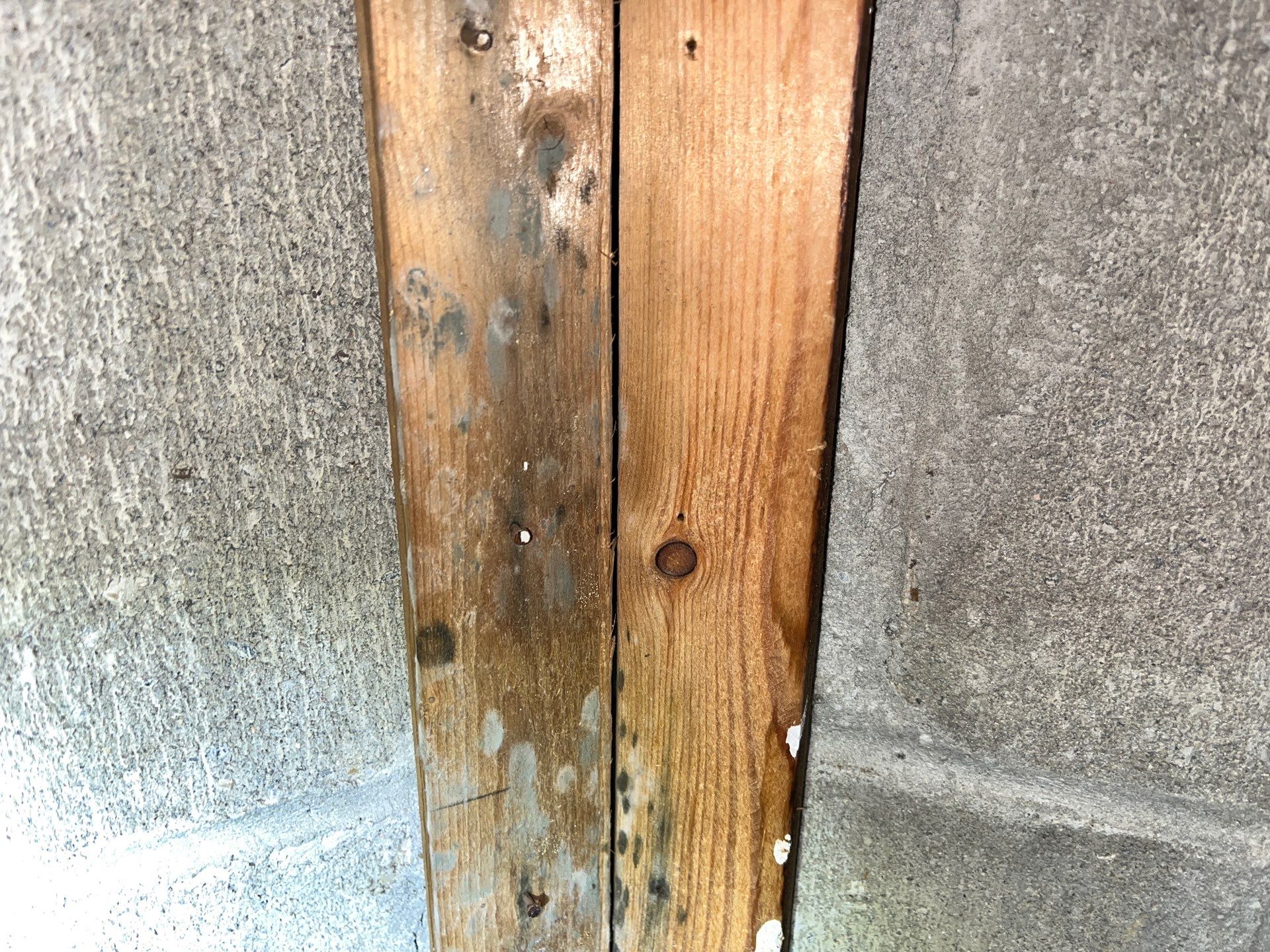 Attic Mold Remediation and Insulation Replacement in McMurray by Home Environment Solutions