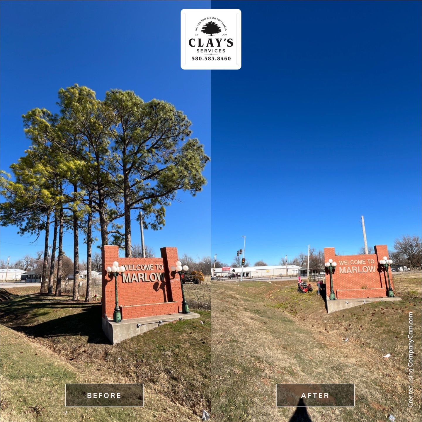 Pine Removals by Clays Services Inc