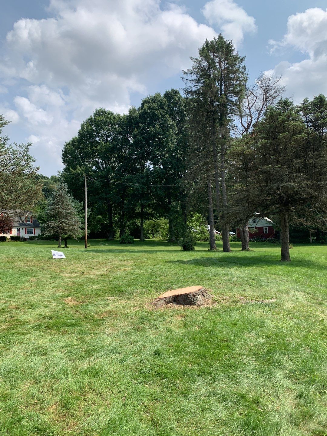 Tree Trimming & Tree Removal in Akron Ohio by Mike Jones & Sons Tree Service LLC 