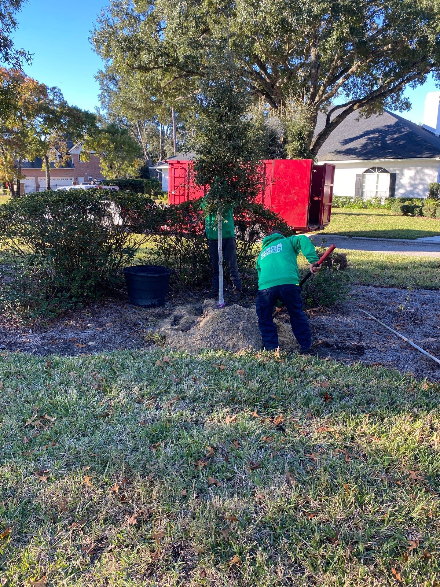 Deerwood Community | Oak Tree Replacement Project by ProGreen Services