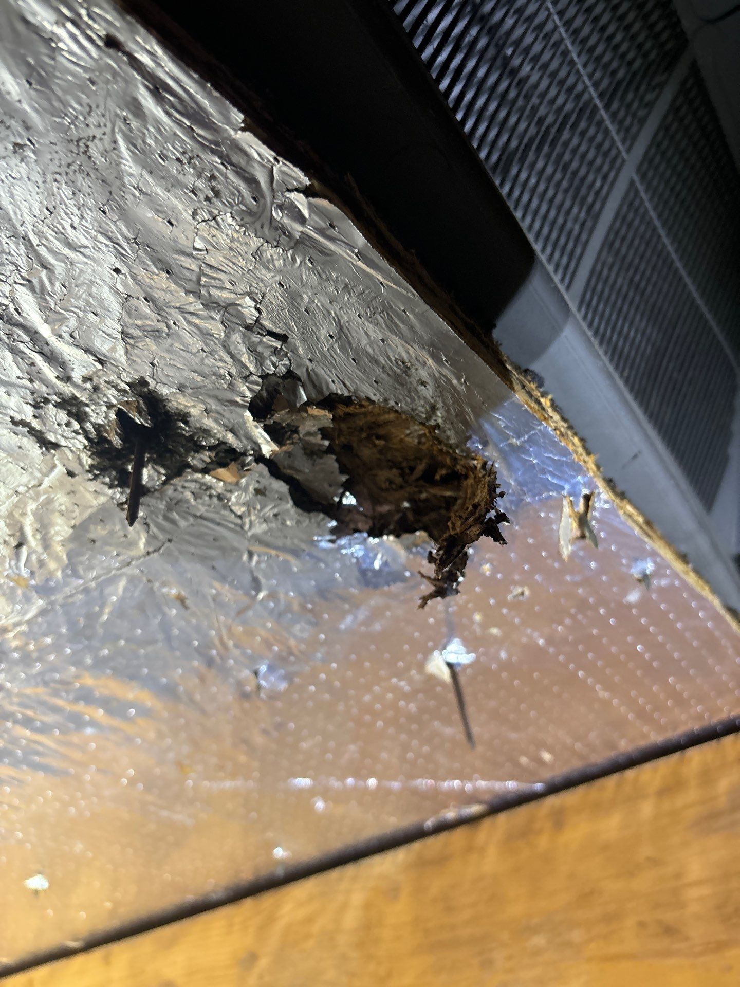Hail Damage using Owen's Corning Duration (Lifetime) Shingles by Roof Repair Company