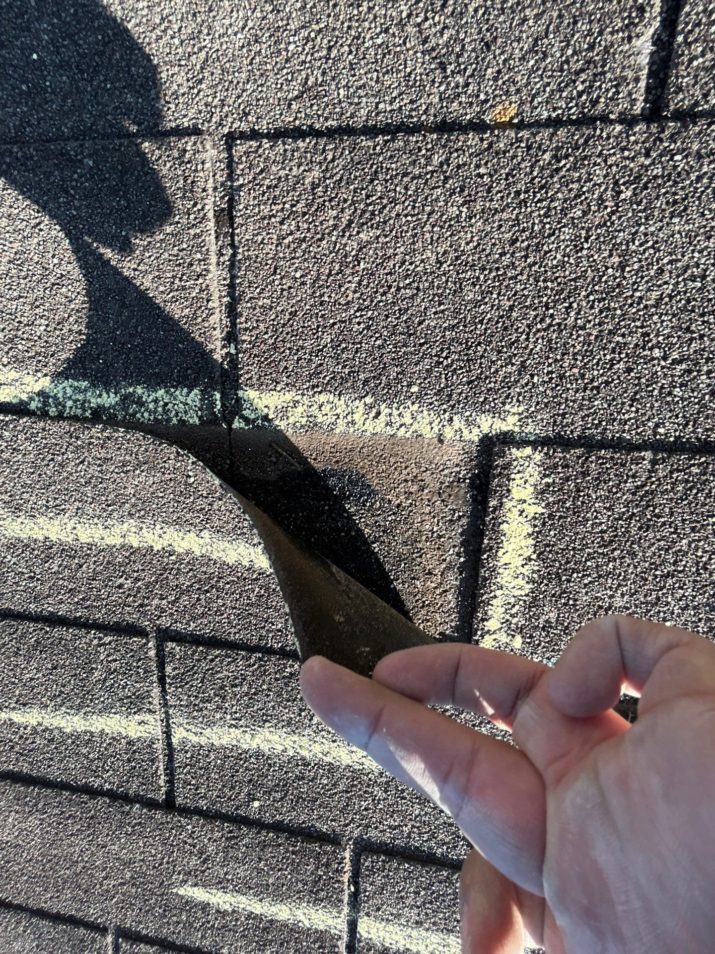 Miss Bridgette by REPS Austin Area Roofer
