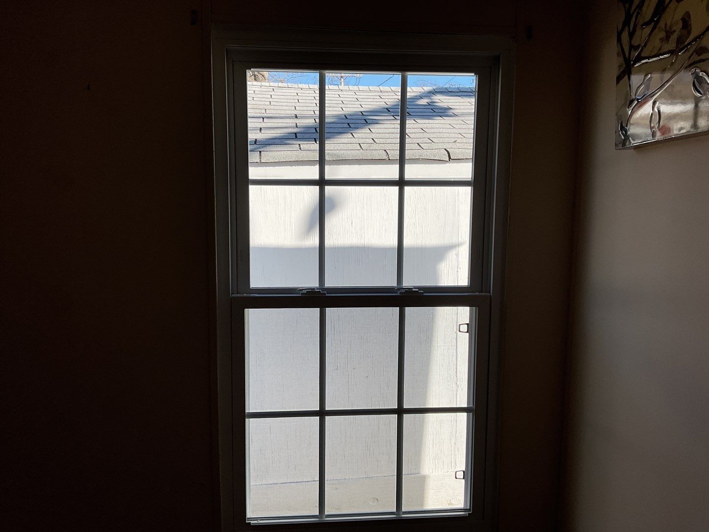 New Roof,Door,Windows by Alpha Design Services