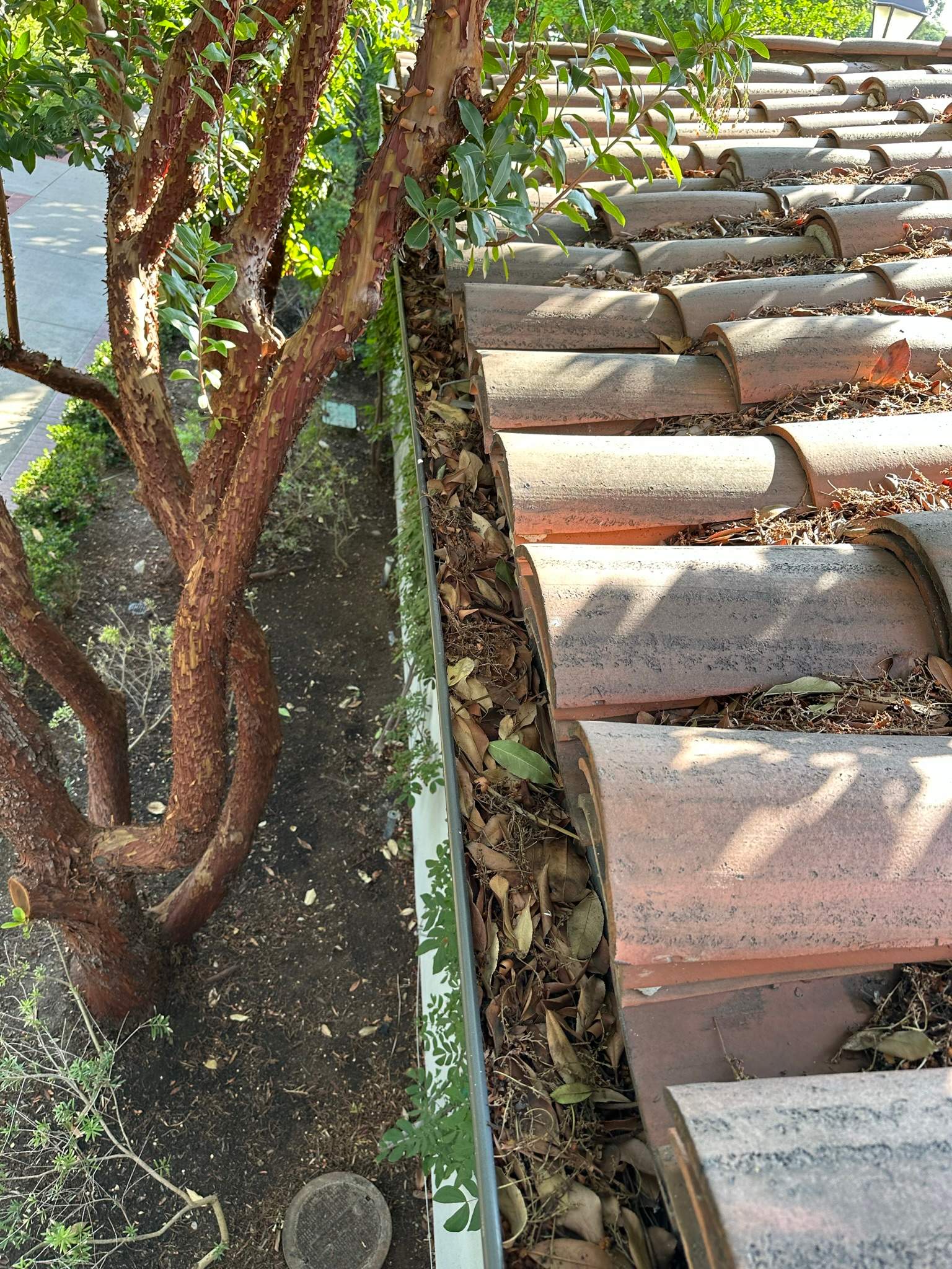 Orange County Gutter Cleaning by Property Cleaning Experts