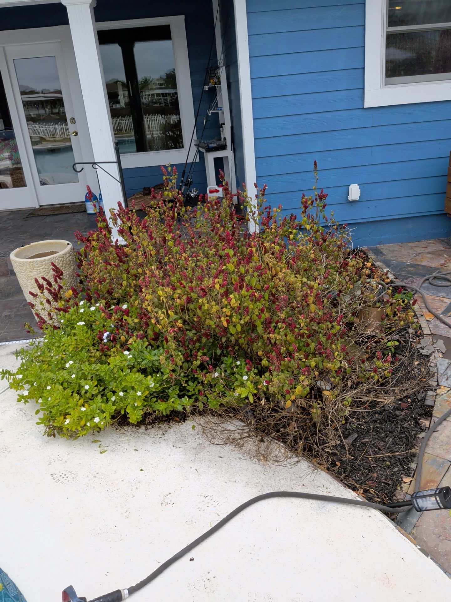 Flower Bed & Property Cleanup San Pablo area — Jacksonville Beaches, FL by Harmoni Home Services