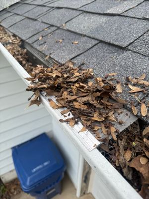 Gutter Protection for DeKalb Homes