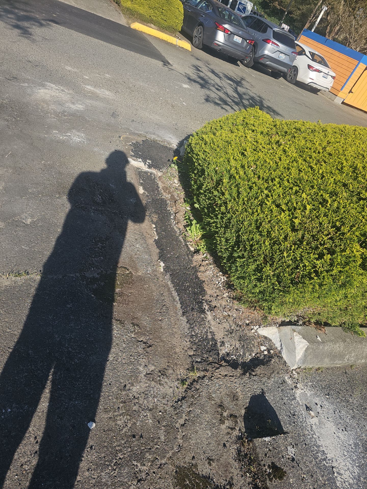 Asphalt Patch Repairs | Mountlake Terrace by Jireh Asphalt & Concrete Inc 